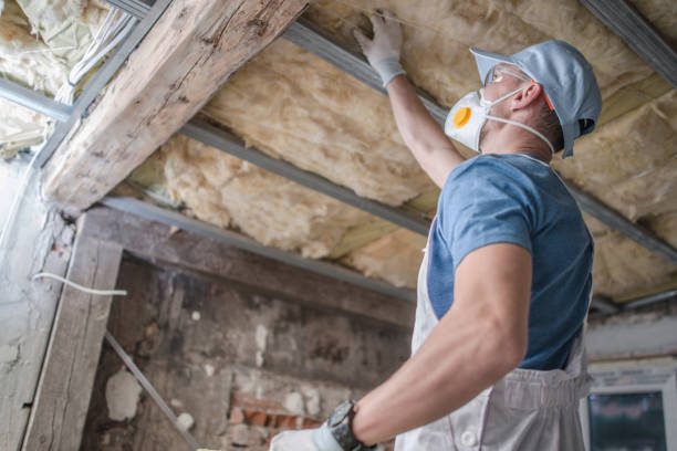 Best Insulation Contractors for Homes  in Birdsboro, PA
